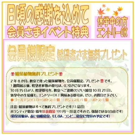 日頃の感謝を込めて