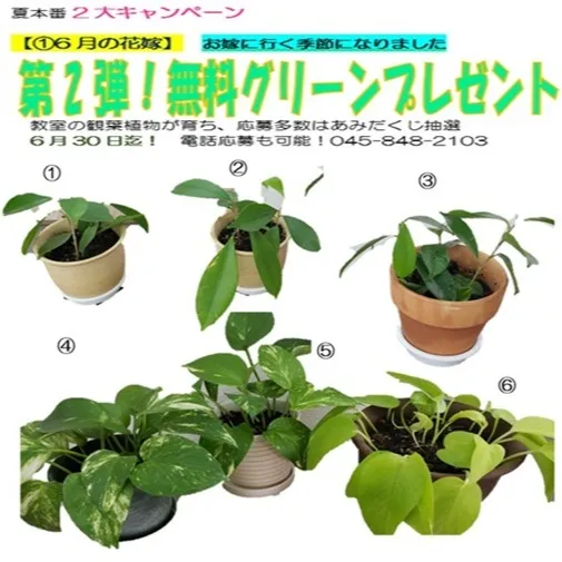 夏本番2大キャンペーン始まります😊