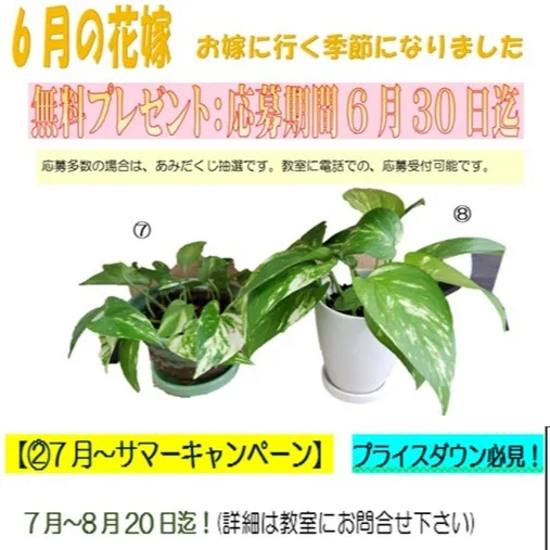 夏本番2大キャンペーン始まります😊